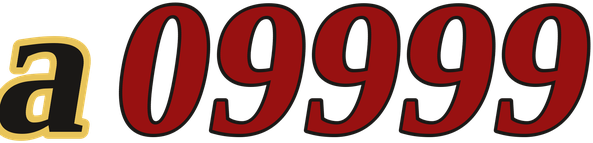 a09999 logo